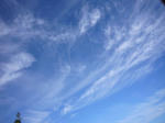 ca4692d3.jpg