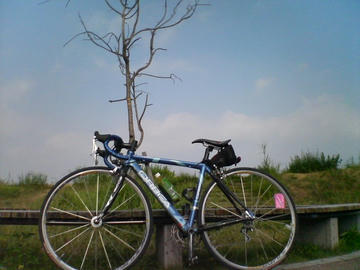 idaiura08-19.jpg