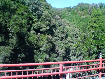 santyu10-06.jpg