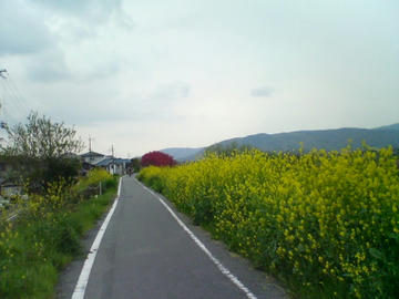 SN340316.jpg