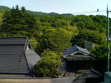 husio080527.jpg