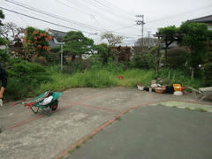 39256401_01.jpg