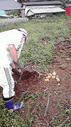 2011072911120001.jpg