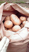 2011072914130000.jpg