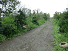37882409_01.jpg