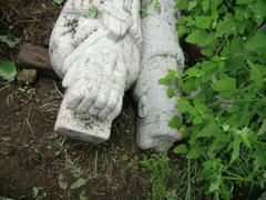 37882409_07.jpg