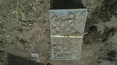 2011081118050002.jpg