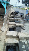 NEC_0007.JPG