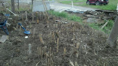 2011081918090000.jpg