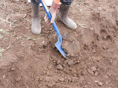DSCN0027.jpg