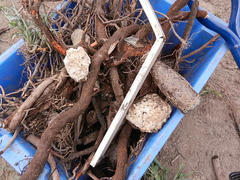 DSCN0034.JPG