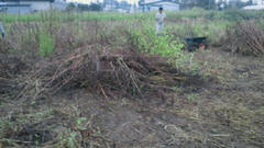 2011082316250000.jpg