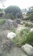110829_125051.jpg