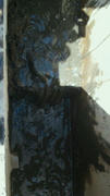 2011083016480000.jpg