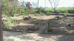 NEC_0011.JPG