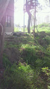 NEC_0012.JPG