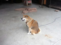 image.jpeg