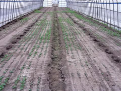 image5.jpeg