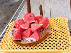image6.jpeg