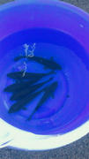 2011090717330000.jpg