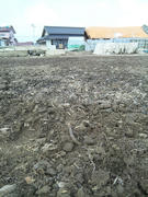 SH3E0027.JPG