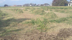 NEC_0017.JPG
