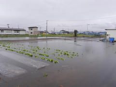 a75563cd.jpg