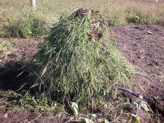 19273977_05.jpg