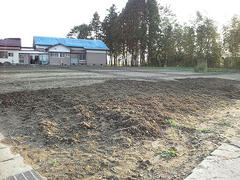 20111016_reroots1.jpg