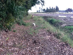 image11.jpeg