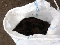 image13.jpeg