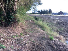 image12.jpeg