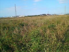 SN3L0021_2.jpg