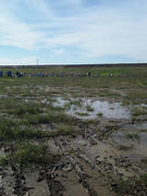 SH3E0110.JPG