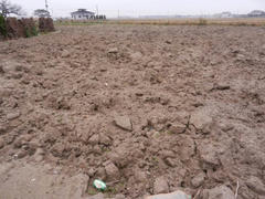 DSCN0652s.JPG