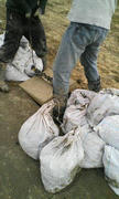 20111123134944.jpg