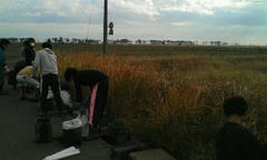 20111123120011.jpg