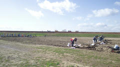 NEC_0269.JPG