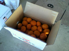 2011120423000000.jpg