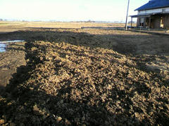 2011120423010000.jpg