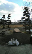 20111219124004.jpg