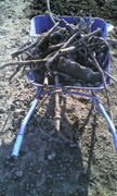 20111224125249.jpg