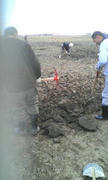 20111226114815.jpg