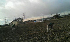 20111227112052.jpg