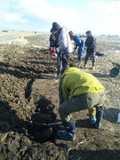 SH3E0192.JPG