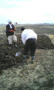 20120116105444.jpg