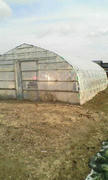 20120116110049.jpg