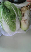 20120116154234.jpg