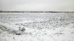 120128_073657_ed.jpg