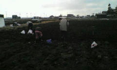 20120206115348.jpg
